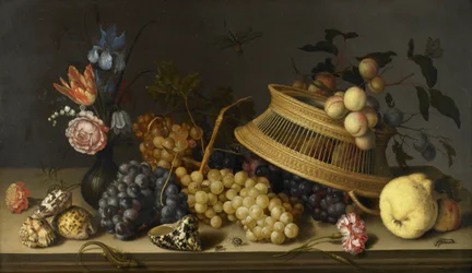 Stillleben mit Blumen, Früchten, Muscheln und Insekten
